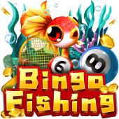 Bingo Fishing at jiliko free 100